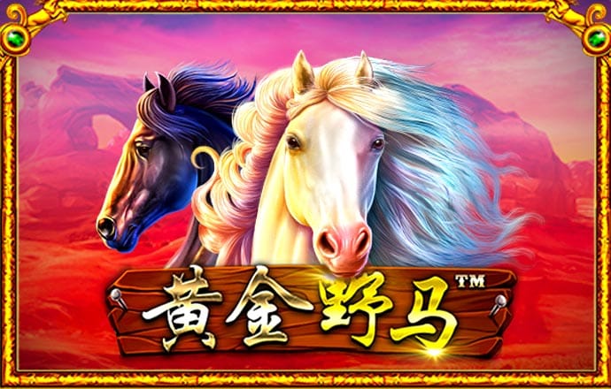 威尼斯体育登录